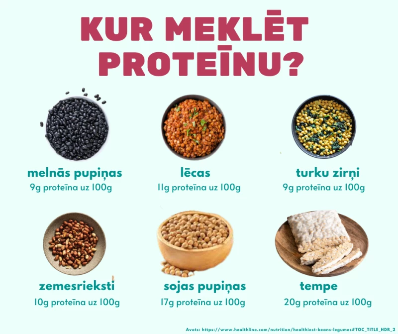 Kur meklēt proteīnu?