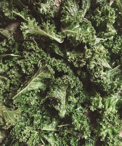 Kale jeb lapu kāposta čipsi
