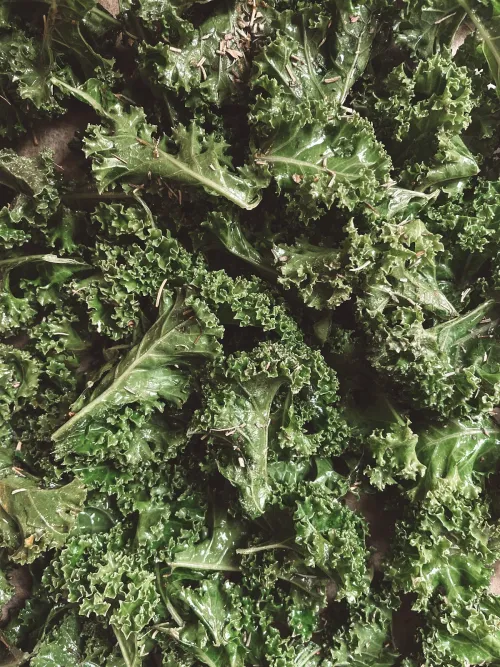 Kale jeb lapu kāposta čipsi