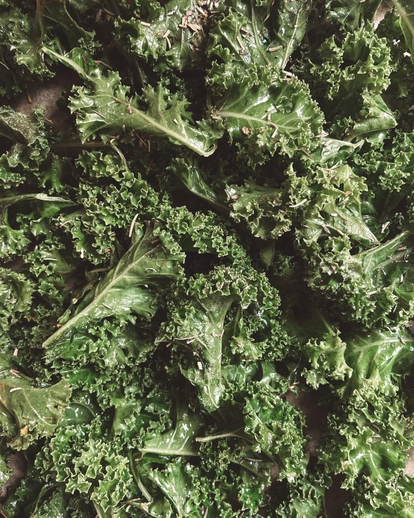 Kale jeb lapu kāposta čipsi
